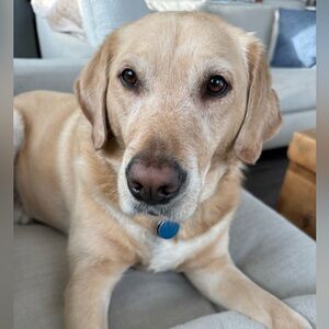 Rebuy for hey soul sister